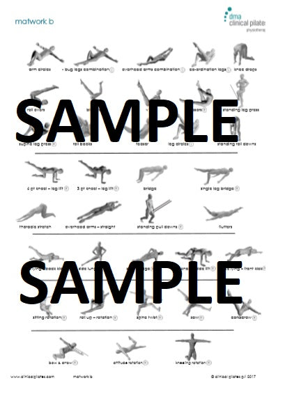 3) programme poster-Unit B Matwork